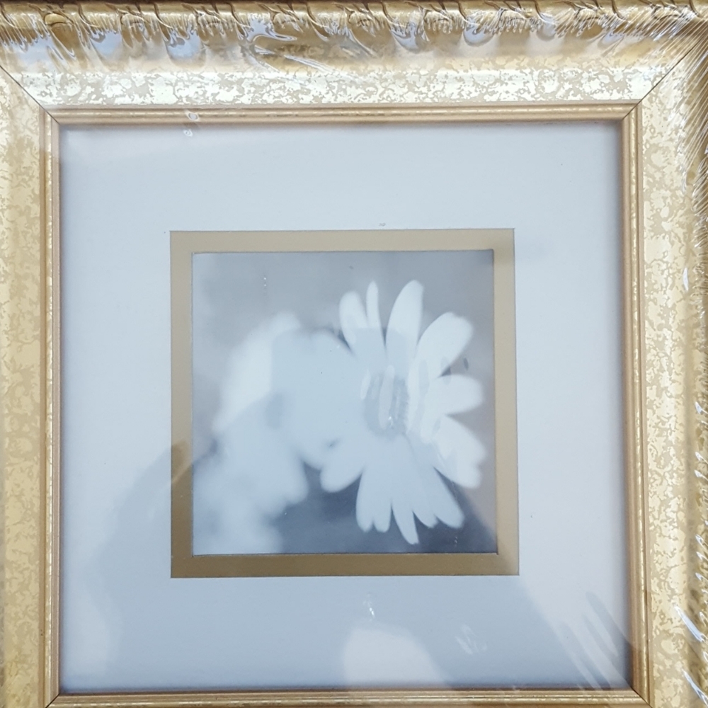 Gold accented frames - Picture 2 of 3
